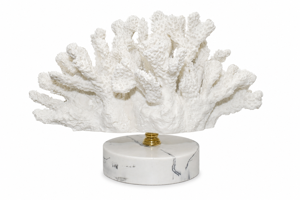 Coral Blanco Mare